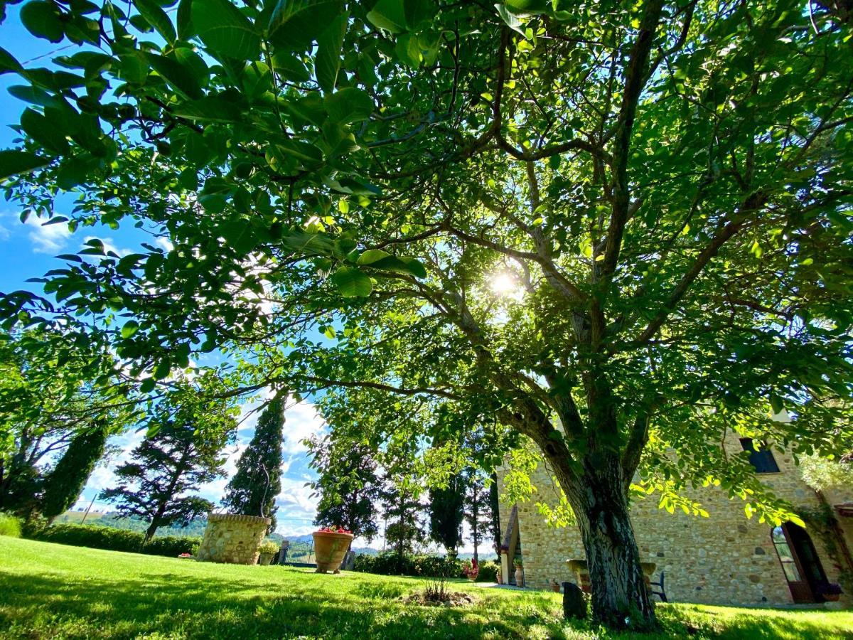 Agriturismo L'Antica Quercia Pomarance Exterior foto